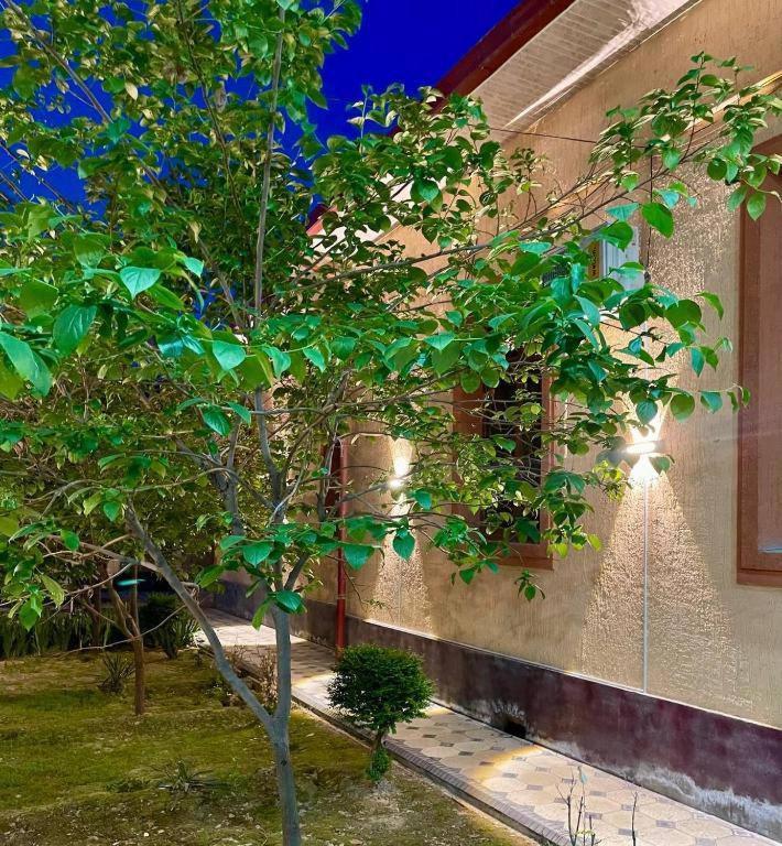 Amor Fati Hotel Tashkent Ngoại thất bức ảnh